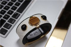英特尔首款智能手环MICA 定价$495